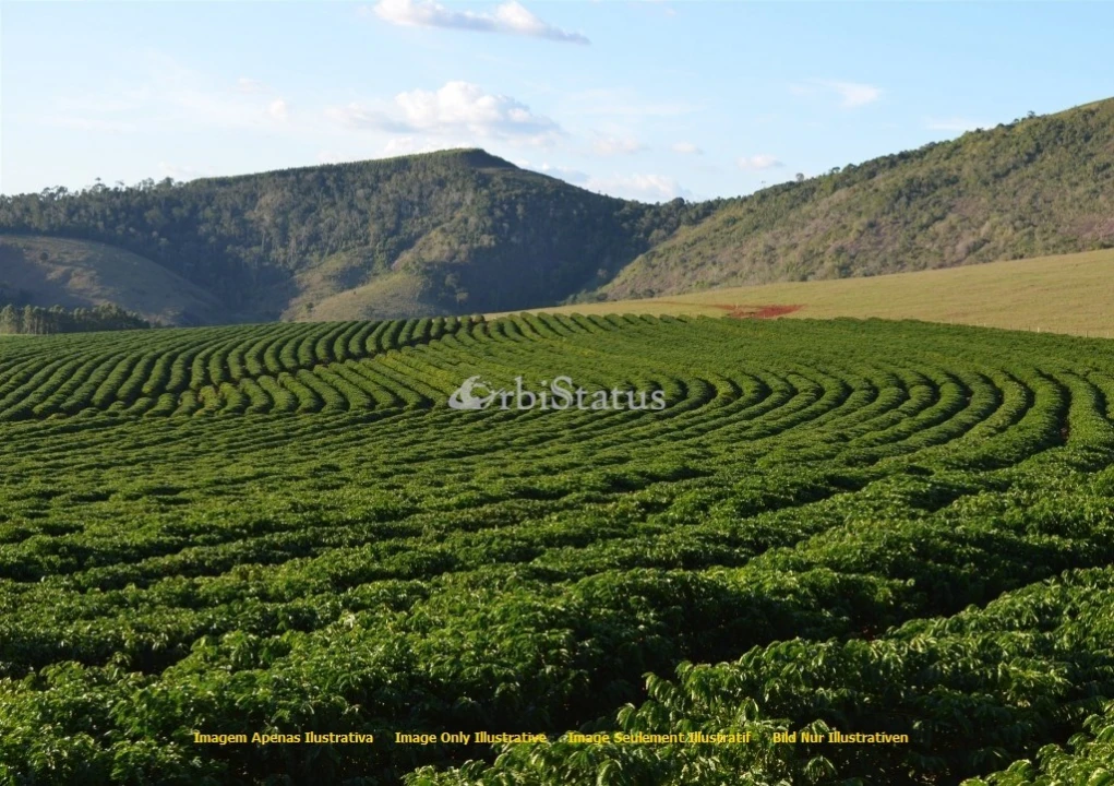 Quinta para Venda em Évora (São Mamede, Sé, São Pedro e Santo Antão) Foto 1