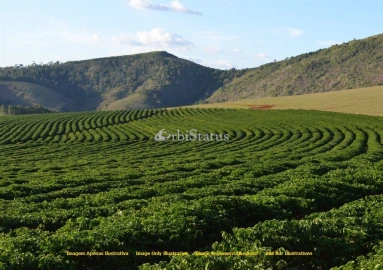 Quinta para Venda em Évora (São Mamede, Sé, São Pedro e Santo Antão)