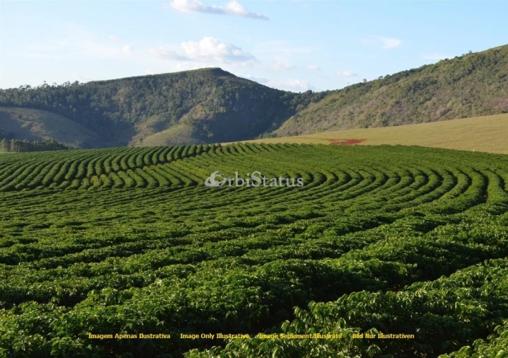 Quinta para Venda em Évora (São Mamede, Sé, São Pedro e Santo Antão)