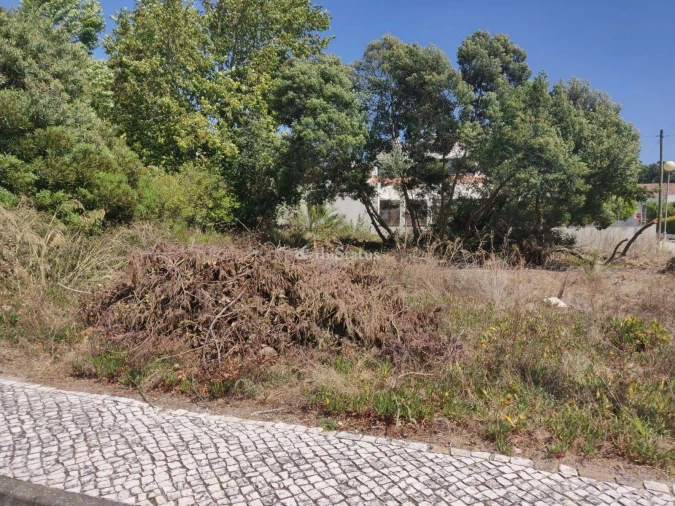 Terreno para Venda em Sesimbra (Castelo) Foto 15