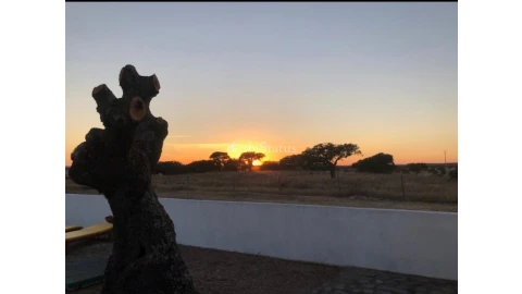 Quinta T4 para Venda em Reguengos de Monsaraz