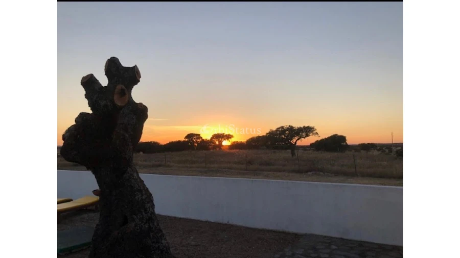 Quinta T4 para Venda em Reguengos de Monsaraz Foto 3