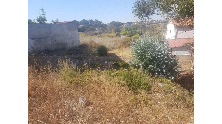 Terreno para Venda em Laranjeiro e Feijó Foto 4