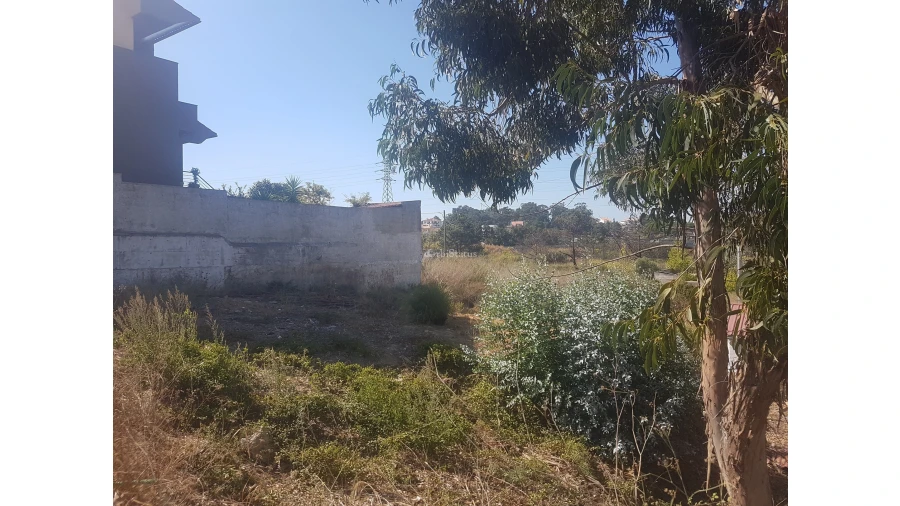 Terreno para Venda em Laranjeiro e Feijó Foto 3