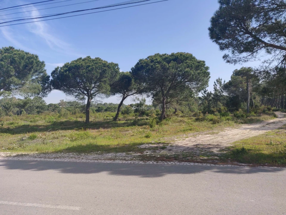 Terreno para Venda em Sesimbra (Castelo) Foto 4