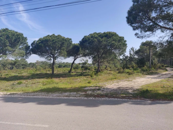 Terreno para Venda em Sesimbra (Castelo) Foto 4