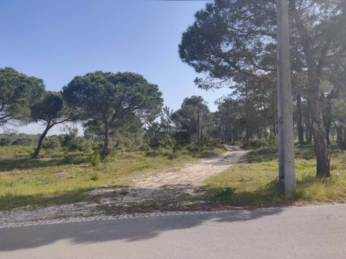 Terreno para Venda em Sesimbra (Castelo) Foto 6