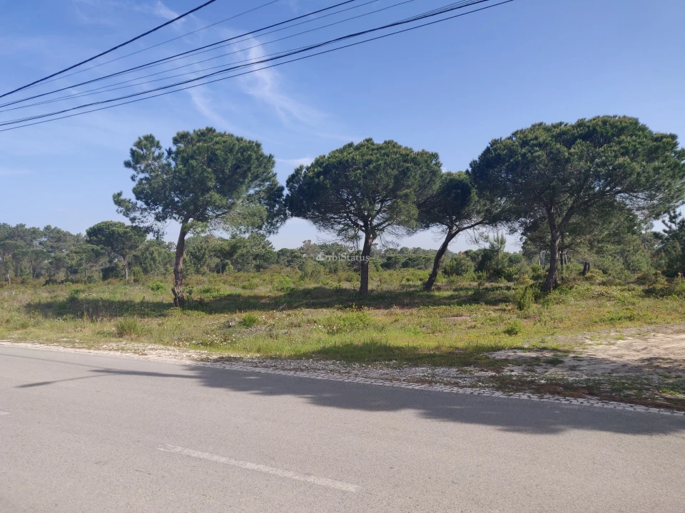 Terreno para Venda em Sesimbra (Castelo) Foto 5