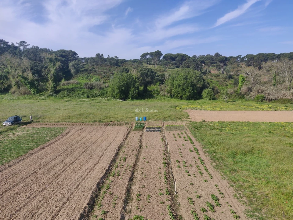 Terreno para Venda em Sesimbra (Castelo) Foto 6