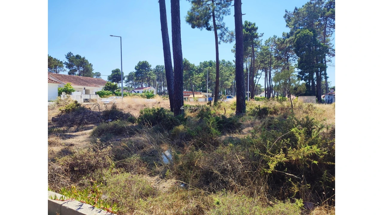 Terreno para Venda em Sesimbra (Castelo) Foto 18