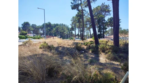 Terreno para Venda em Sesimbra (Castelo)