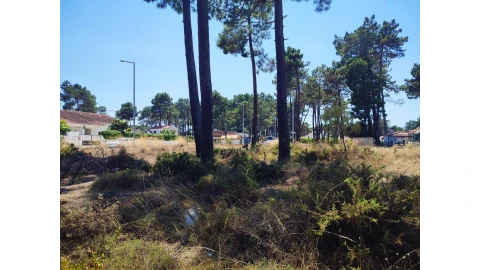 Terreno para Venda em Sesimbra (Castelo)