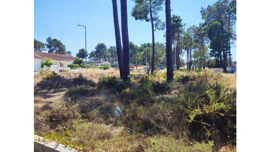 Terreno para Venda em Sesimbra (Castelo) Foto 18