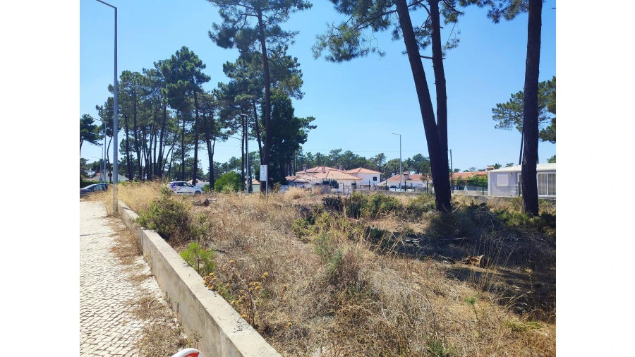 Terreno para Venda em Sesimbra (Castelo) Foto 19
