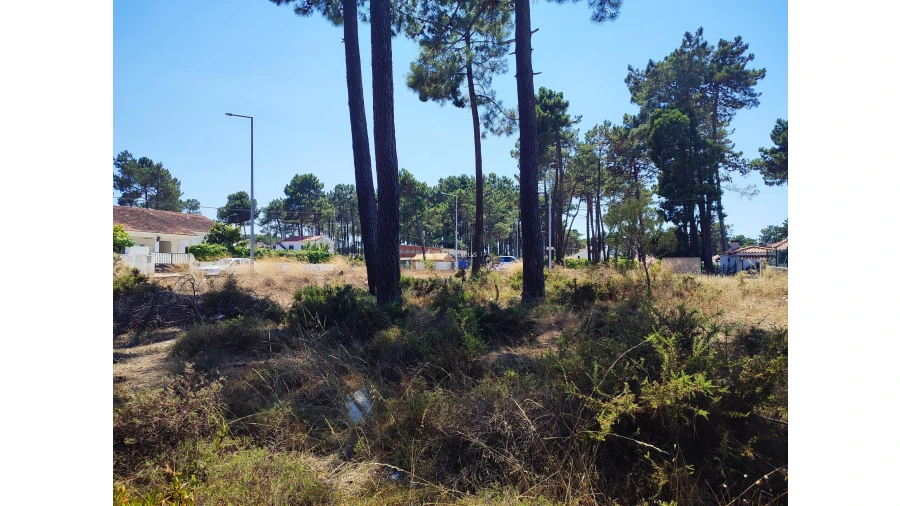 Terreno para Venda em Sesimbra (Castelo) Foto 16