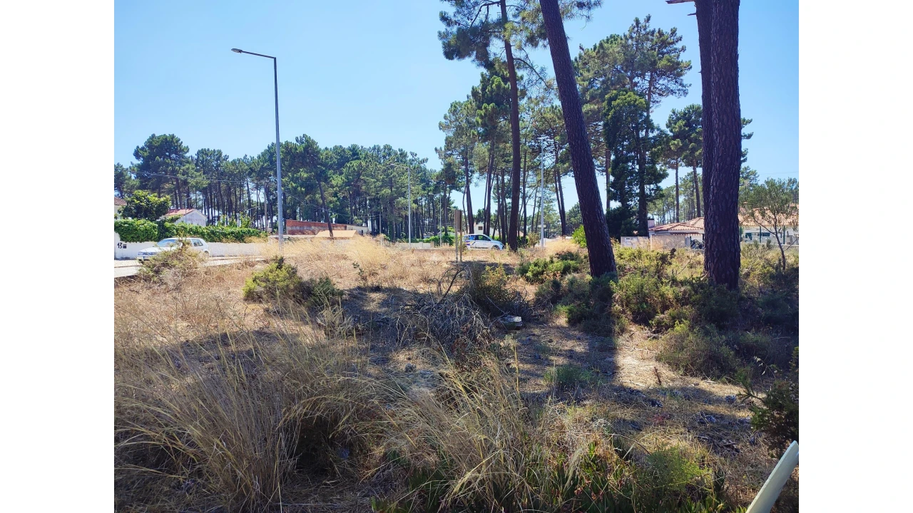 Terreno para Venda em Sesimbra (Castelo) Foto 15