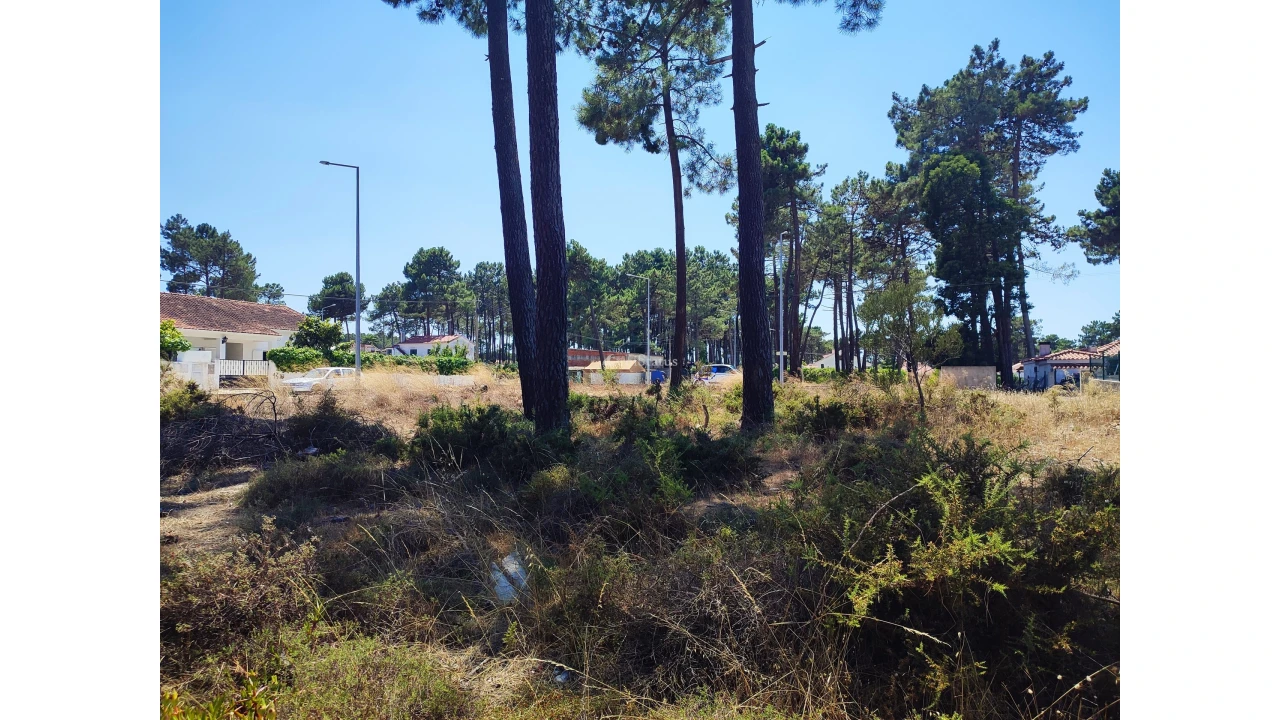 Terreno para Venda em Sesimbra (Castelo) Foto 16