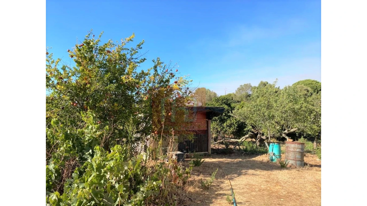 Terreno Misto para Venda em São Francisco Foto 22