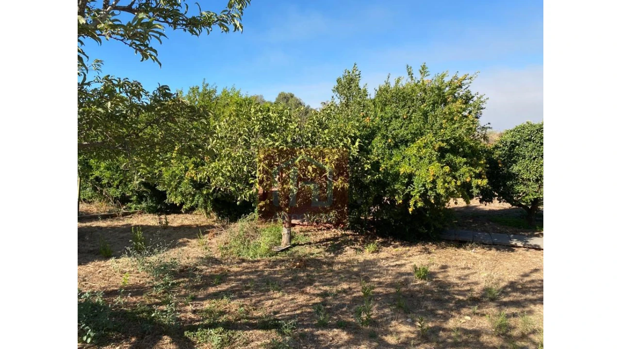 Terreno Misto para Venda em São Francisco Foto 23