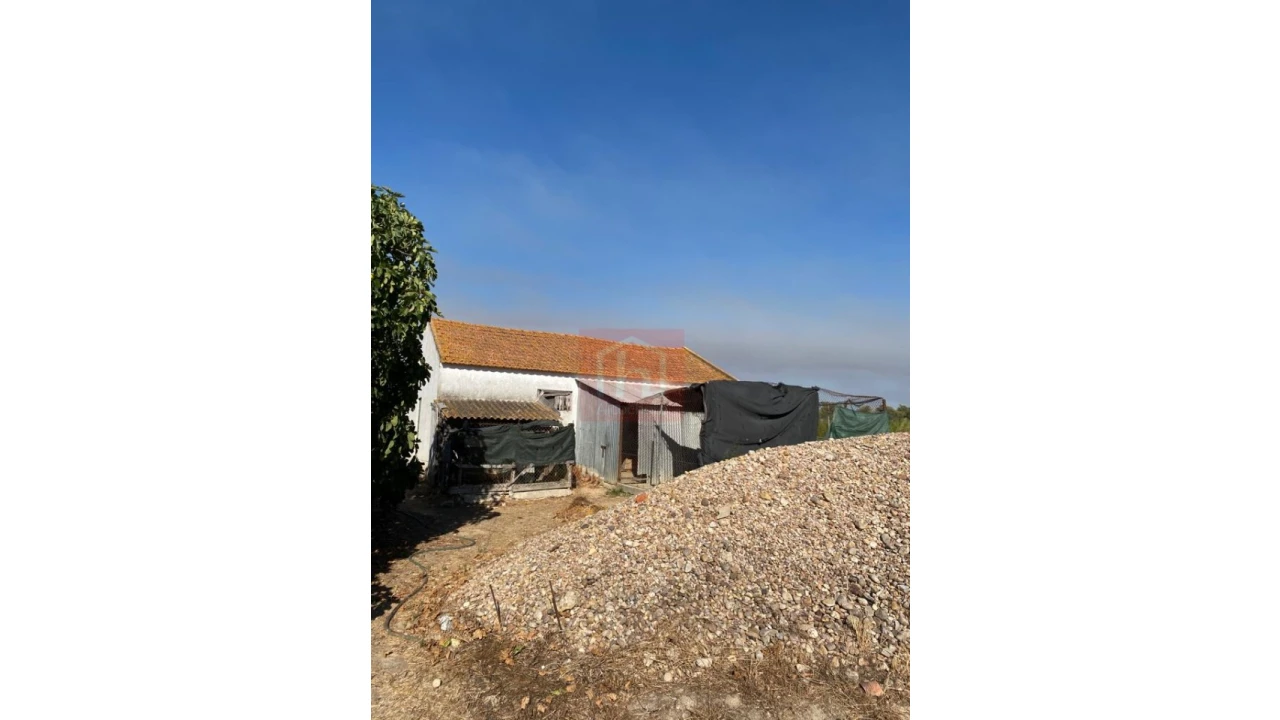 Terreno Misto para Venda em São Francisco Foto 25