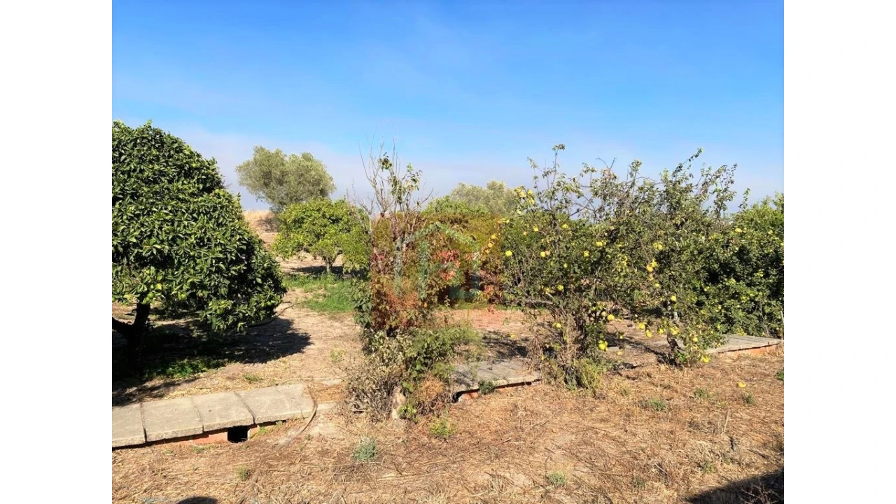 Terreno Misto para Venda em São Francisco Foto 28