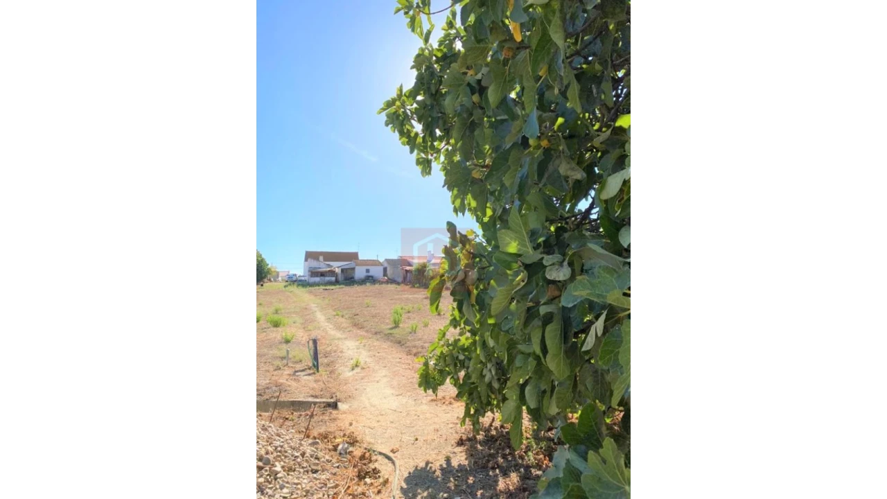 Terreno Misto para Venda em São Francisco Foto 31