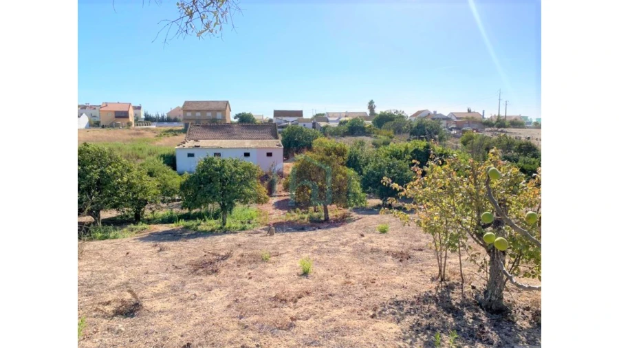 Terreno Misto para Venda em São Francisco Foto 7