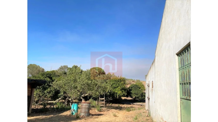 Terreno Misto para Venda em São Francisco Foto 21