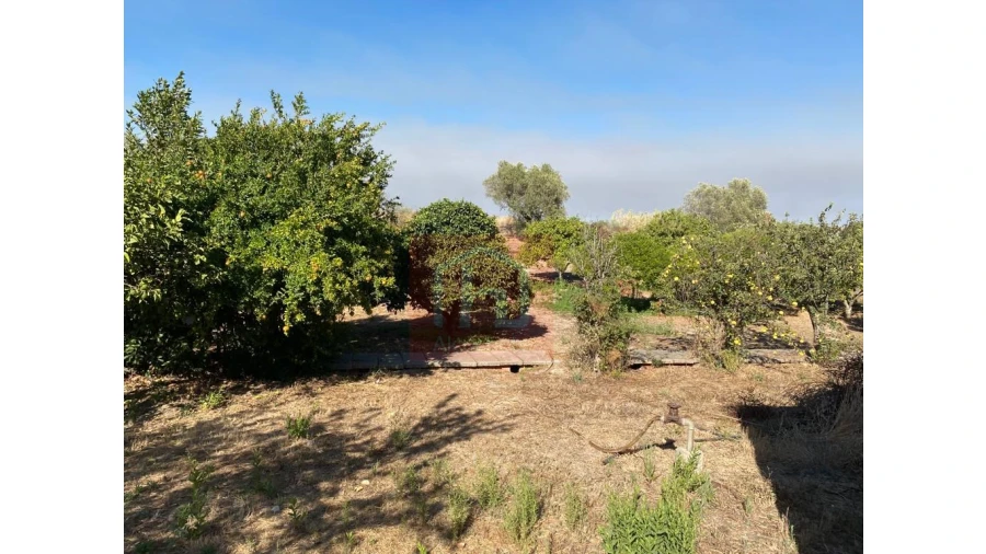 Terreno Misto para Venda em São Francisco Foto 6