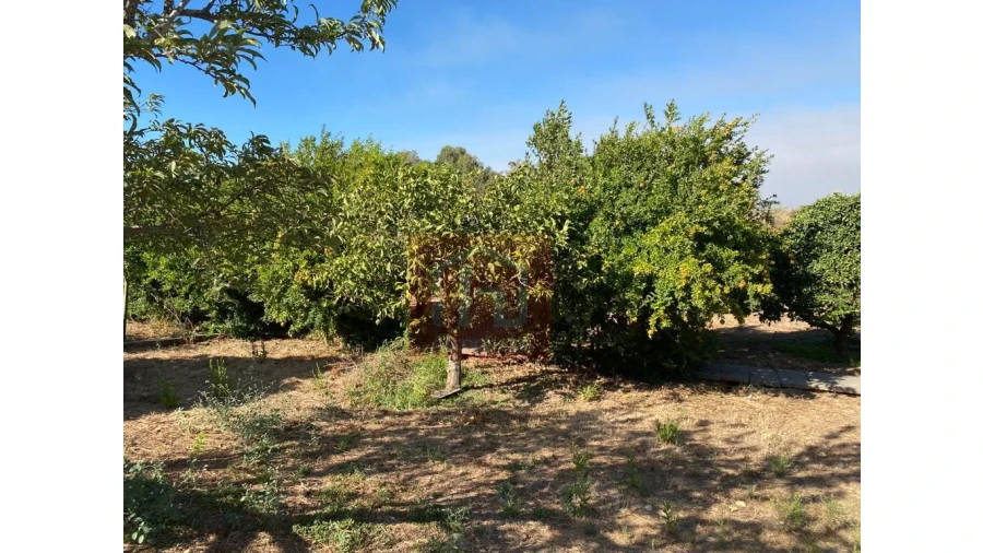 Terreno Misto para Venda em São Francisco Foto 23