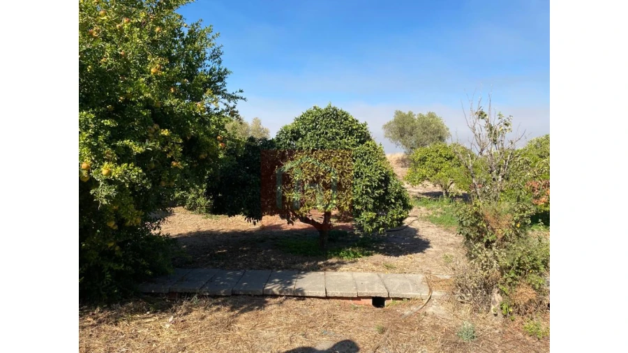 Terreno Misto para Venda em São Francisco Foto 27