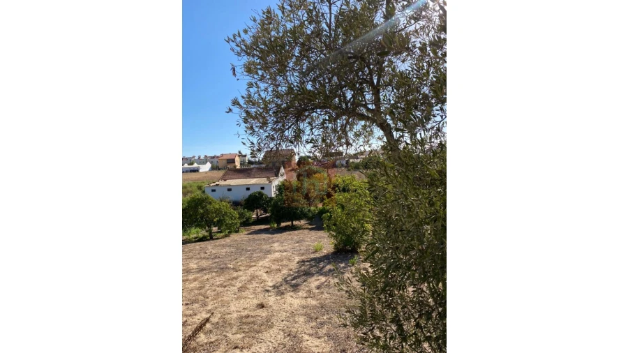 Terreno Misto para Venda em São Francisco Foto 30