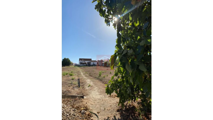 Terreno Misto para Venda em São Francisco Foto 5