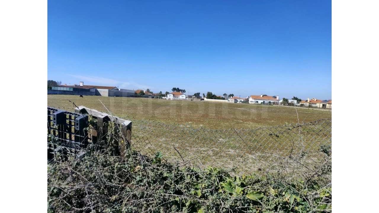Terreno para Venda em Benavente Foto 4
