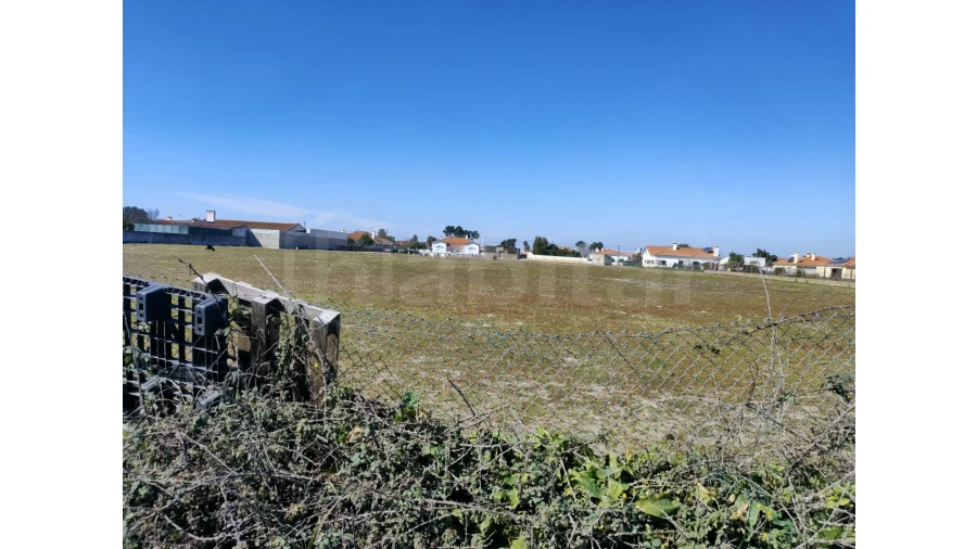 Terreno para Venda em Benavente Foto 4