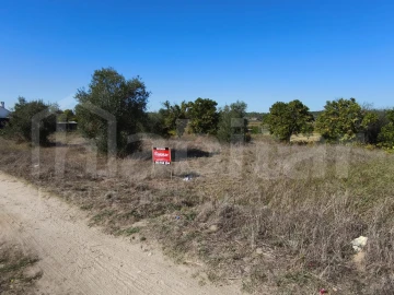 Terreno Agricola ou Rústico para Venda em Coruche, Fajarda e Erra