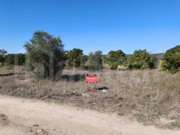 Terreno Agricola ou Rústico para Venda em Coruche, Fajarda e Erra