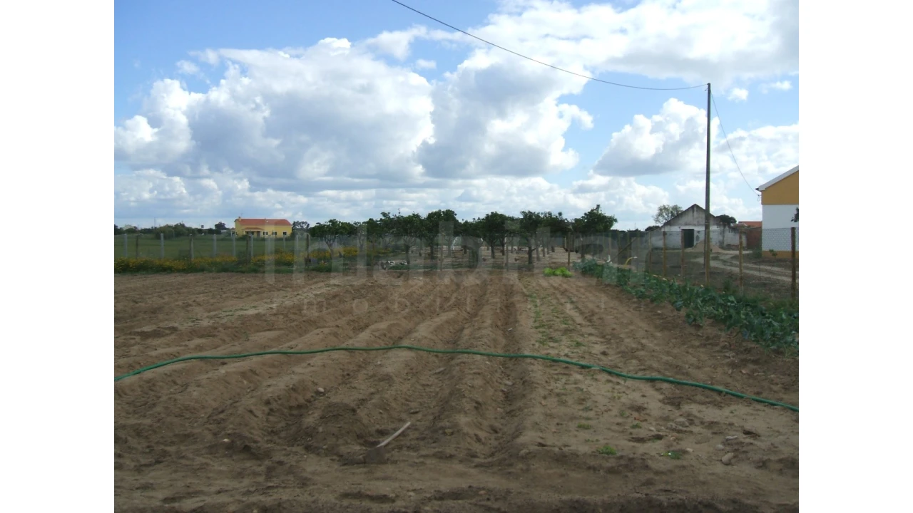 Quinta para Venda em Benavente Foto 4