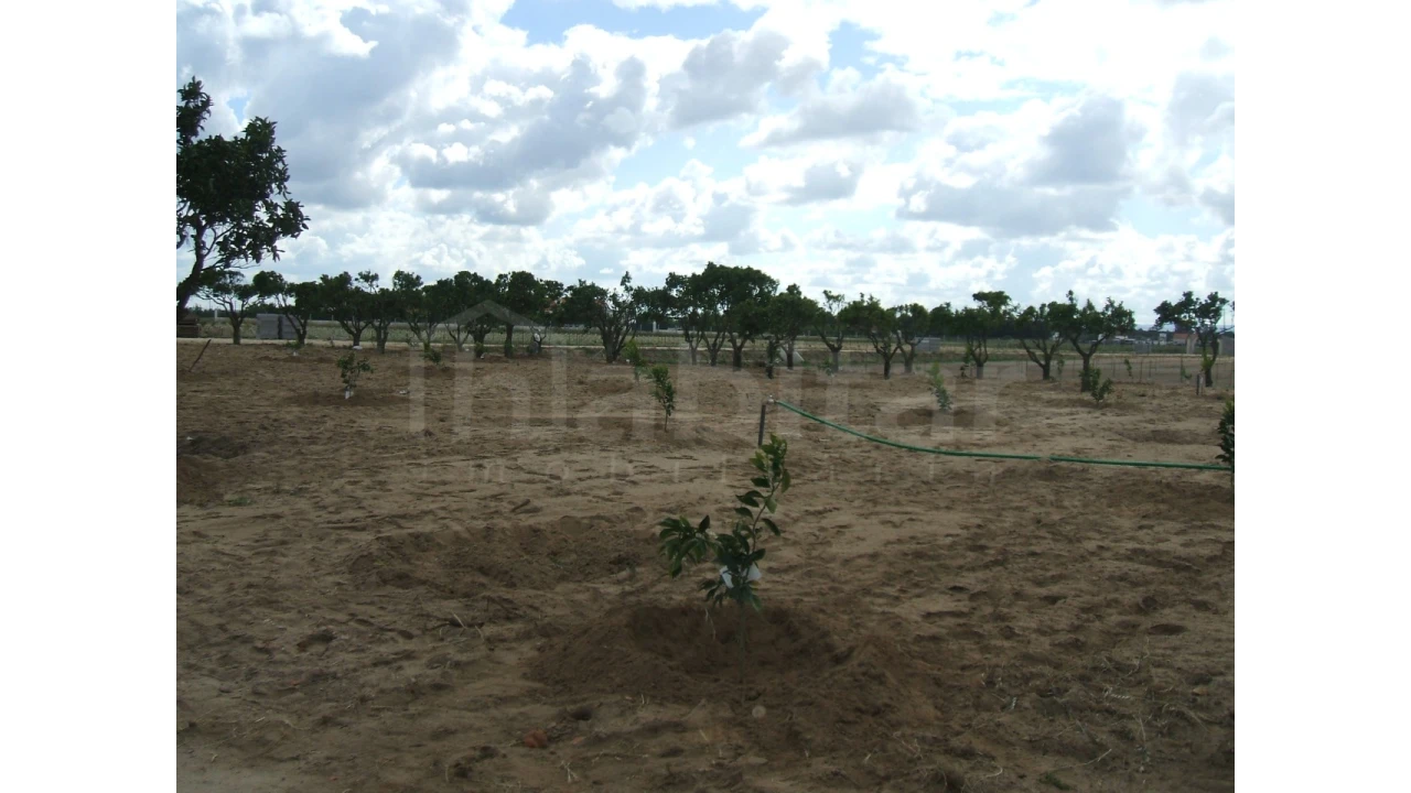 Quinta para Venda em Benavente Foto 6