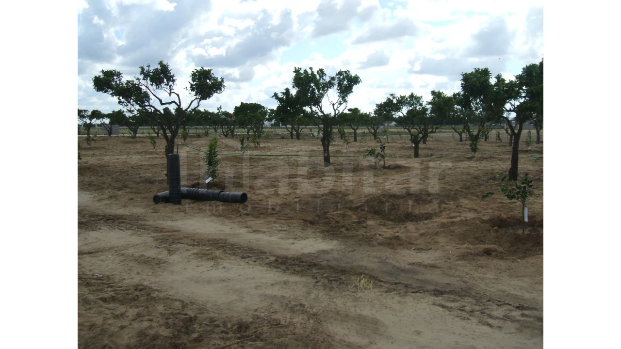 Quinta para Venda em Benavente Foto 7