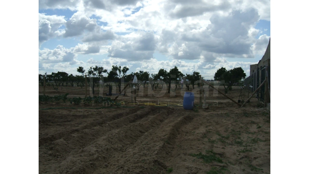 Quinta para Venda em Benavente Foto 8