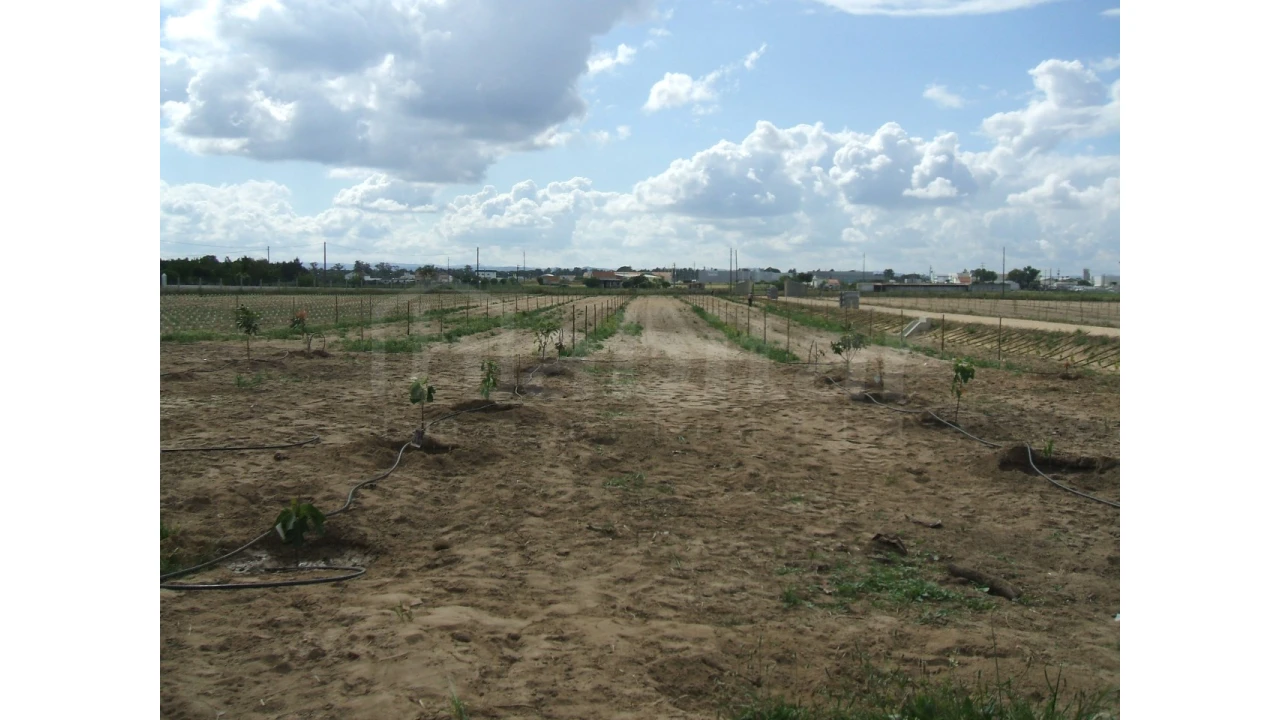 Quinta para Venda em Benavente Foto 12