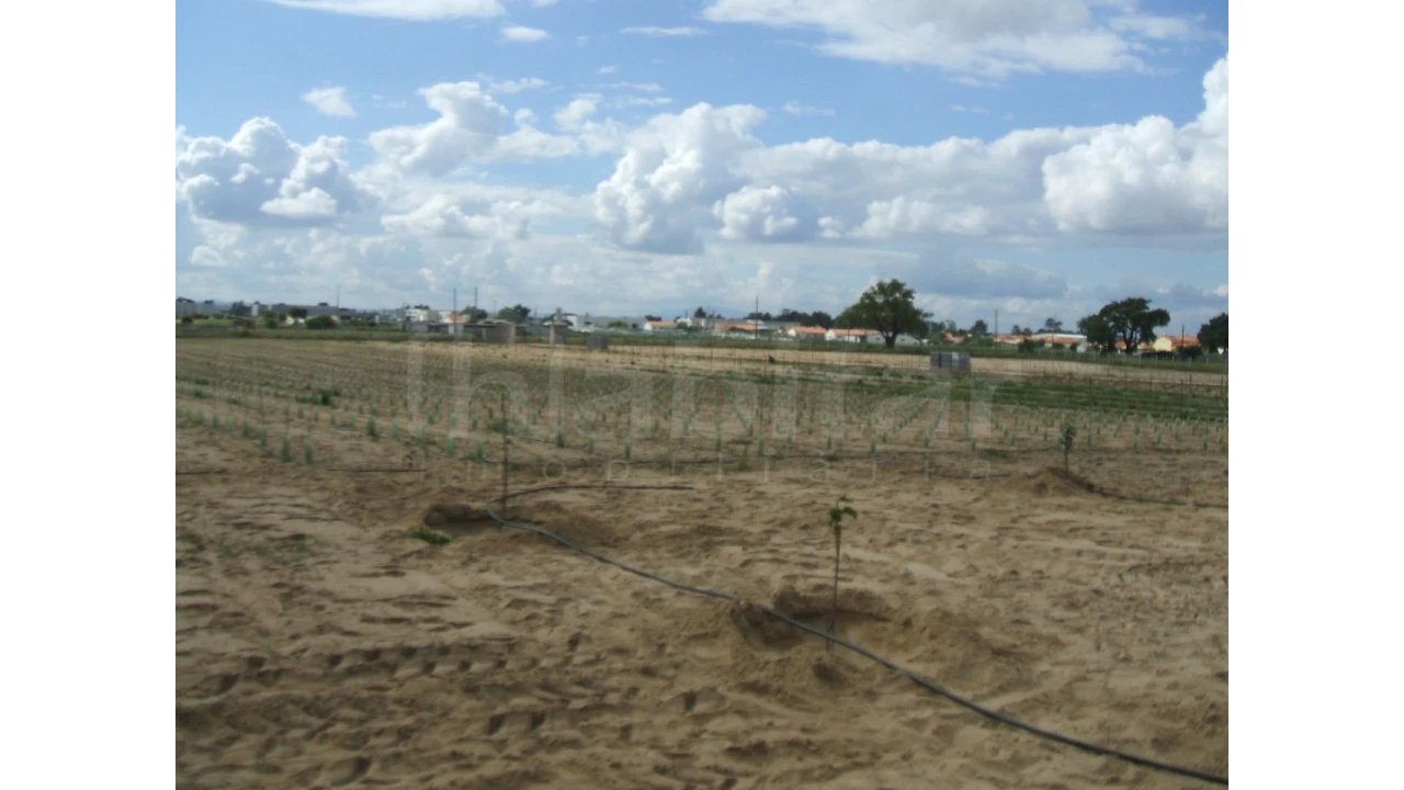 Quinta para Venda em Benavente Foto 15