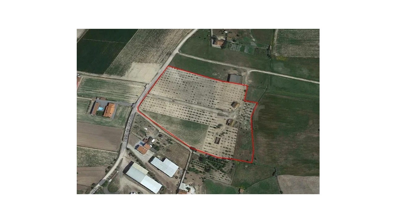 Quinta para Venda em Benavente Foto 31