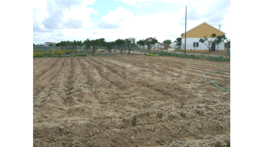 Quinta para Venda em Benavente Foto 2