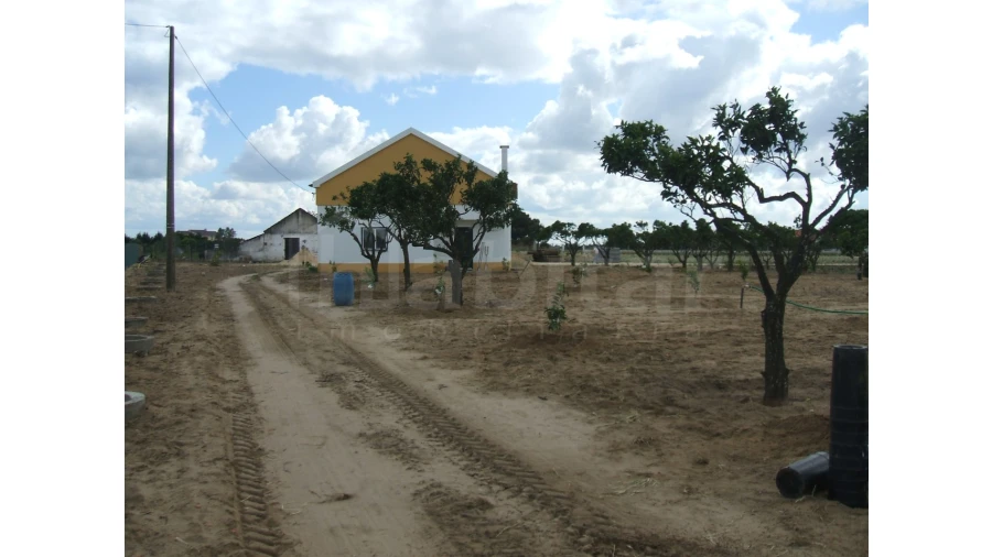 Quinta para Venda em Benavente Foto 3
