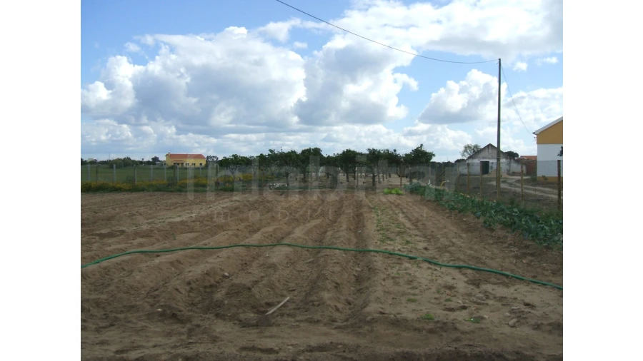 Quinta para Venda em Benavente Foto 4