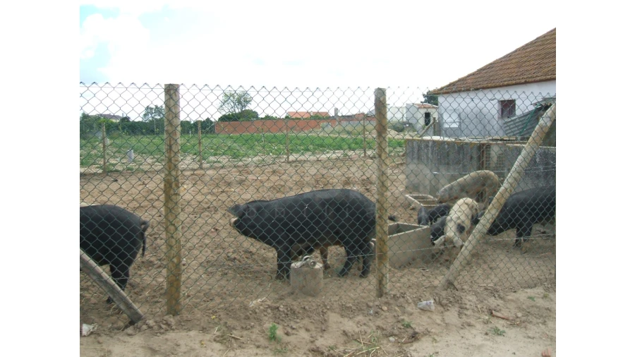 Quinta para Venda em Benavente Foto 5