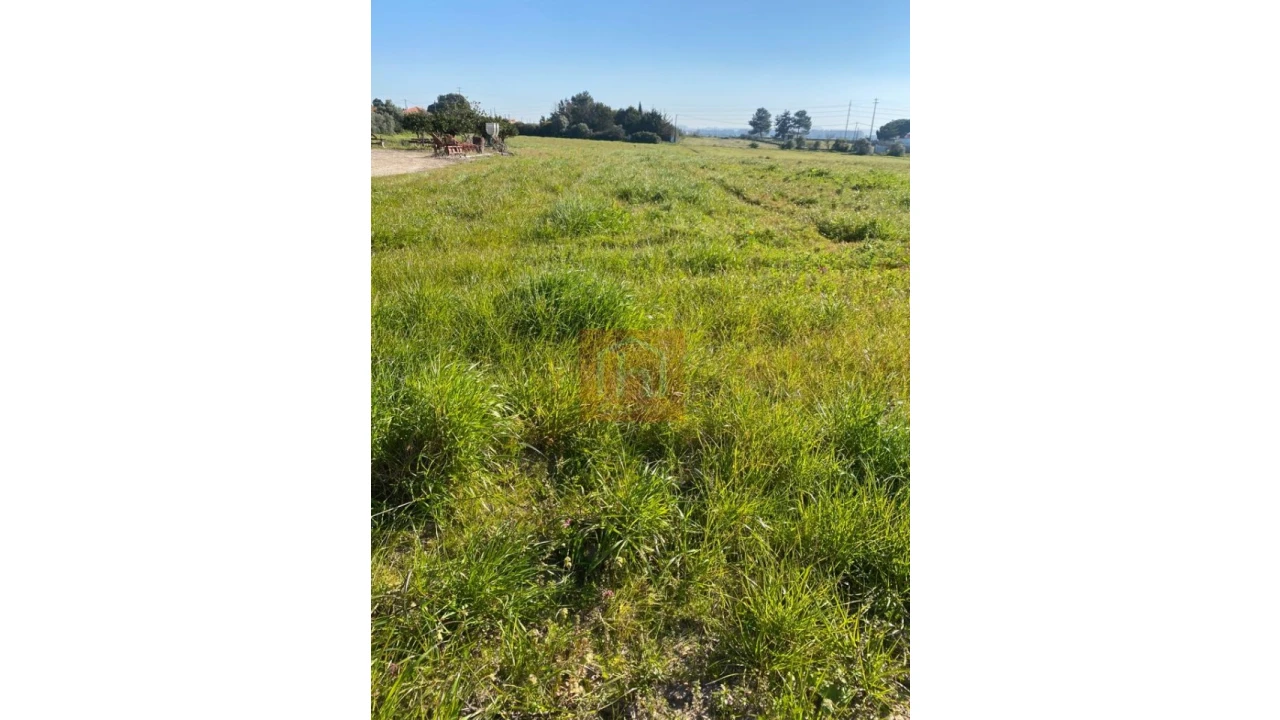 Terreno para Venda em São Francisco Foto 5