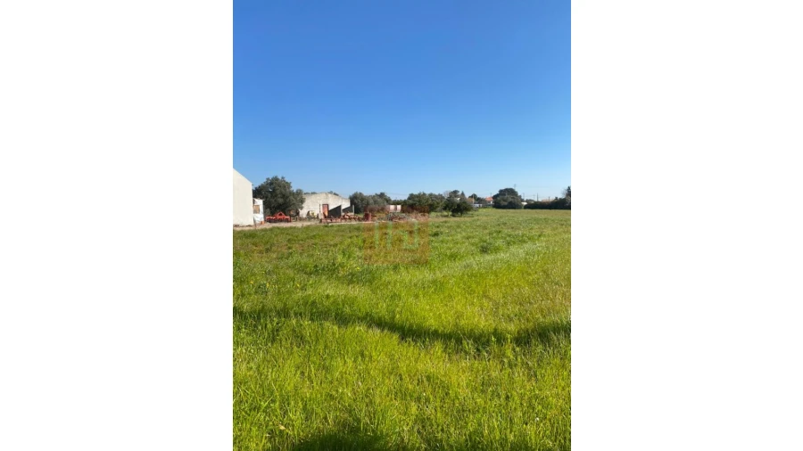 Terreno para Venda em São Francisco Foto 6